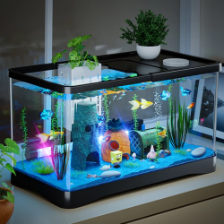 俏洁 家用鱼缸客厅桌面养鱼箱水族缸家用造景缸DIY绿植箱乌龟爬宠饲养