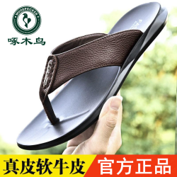 啄木鸟 男鞋真皮人字拖鞋男夏季轻便居家外穿踩屎感休闲凉鞋沙滩鞋