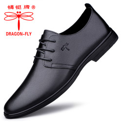 DRAGON-FLY 皮鞋男款爆款2026新款男士商务正装软底软皮加绒休闲鞋真皮