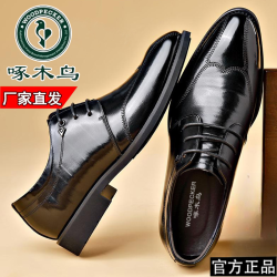 啄木鸟 2026新款正装男鞋真软皮男士皮鞋商务复古布洛克休闲增高鞋