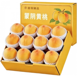 甜萌果蔬 蒙阴黄桃 净重4.5斤 商超果
