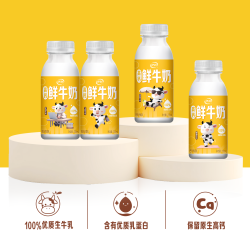 伊利 顺丰上门金典鲜牛奶235ml*5瓶+伊利鲜牛奶235ml*5瓶