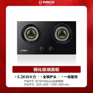扬子 JZT-B10T 双灶嵌入式燃气灶