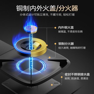 扬子 JZT-B10T 双灶嵌入式燃气灶