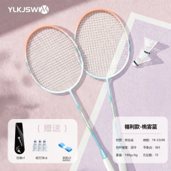 YLKJSWIM 羽毛球拍 2支套装+6尼龙球+三年质保
