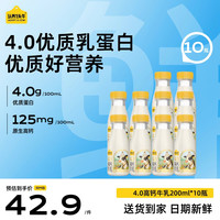 认养一头牛 【4.0高钙】荷斯坦牛乳200ml*10瓶