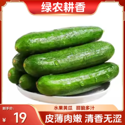 绿农耕香 山东省 水果黄瓜 3斤