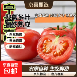 京喜 正宗水果番茄  带箱2斤装(净重1.7斤)*单果100g+