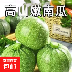 京喜 嫩南瓜  2斤