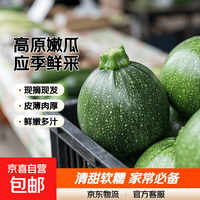 京喜 云南高原嫩南瓜  1.5斤净重
