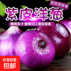 京喜 河南紫皮洋葱  带箱2斤*小果100-300g*净重1.8斤