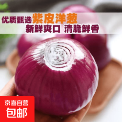 京喜 河南紫皮洋葱  带箱2斤*单果均100-500g*净重1.8斤