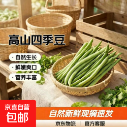 京喜加 云南高山新鲜四季豆  带箱2斤