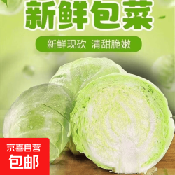 京喜 现摘云南新鲜包菜 卷心菜 1.5-2斤带箱