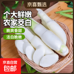 京喜 云南新鲜茭白  带壳发货 （含包装1.6-2斤）