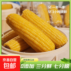 京喜 正宗东北真空黄糯玉米 2根*220g