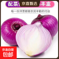 京喜 甘肃新鲜紫皮洋葱 脆甜爽口  中果2斤