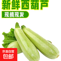 京喜 山东 新鲜西葫芦 3.7斤