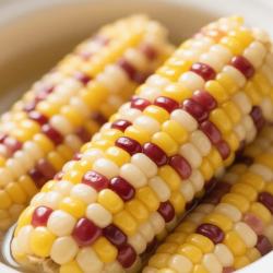 东北大板 东北糯玉米 甜糯玉米棒 白糯玉米 花糯玉米 黄糯玉米 早餐 960g 3包 黄糯1 白糯1