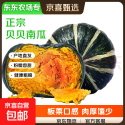 京喜 正宗贝贝南瓜  小果 500g*净重450g