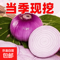 京喜 紫皮洋葱 带箱2斤*单果100-500g