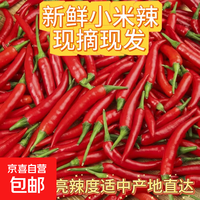 京喜 新鲜小米辣 朝天椒 一斤装