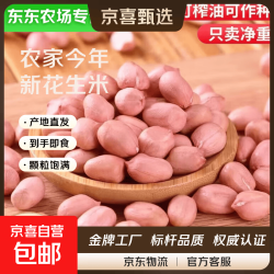 京喜 现剥新货花生米  粉皮无壳花生仁 精选大粒-净重2斤