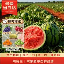 京鲜生 无籽麒麟瓜 2.5kg