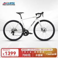 喜德盛 RC200 14速变速 700C轮径 公路自行车