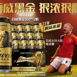 百威 黑金美式拉格啤酒 500ml*12听