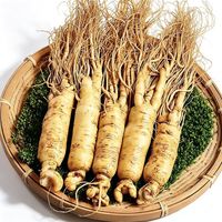 吉林敖东 敖东整支鲜人参 1支*1袋