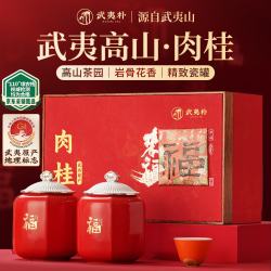 武夷朴 肉桂乌龙茶叶礼盒装岩茶特级高端正宗送人礼物品长辈老师领导204g