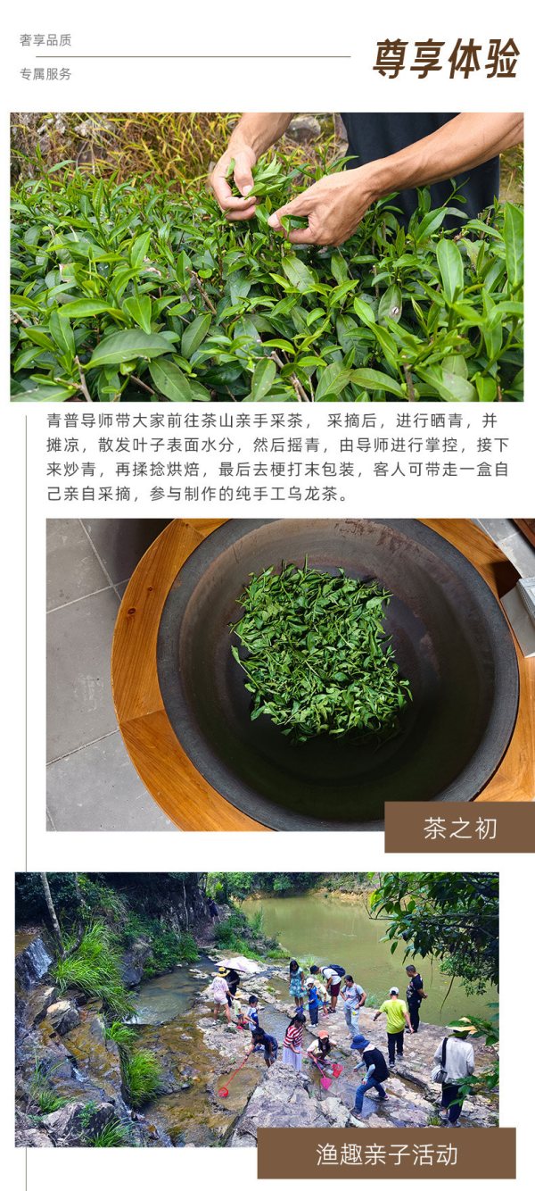 【暑期不加价、周末不加价】青普文化行馆-南靖土楼2晚含早+晚餐+采茶制茶+瀑布捞鱼及烹鱼