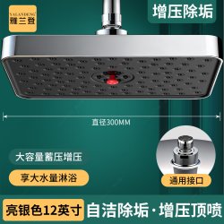 雅兰登 H1071224-1 自洁除垢顶喷花洒喷头 12英寸方形 亮银色
