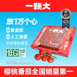 一颗大 玲珑串樱桃番茄小西红柿新鲜自然熟应季水果1kg/盒