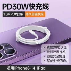 45WPD双口适用苹果充电器头iPhone15/16/17快充头1420数据线30w插头二合一typec双多口原套装11XR冲iPad平板