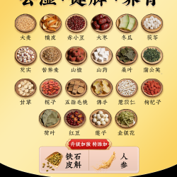 雄中医 二十四味五指毛桃红豆薏米茶 200克(5克*40包) 包装