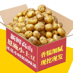 黄皮小土豆新鲜马铃薯正宗黄心薄皮土豆洋芋现挖蔬菜5香老品种