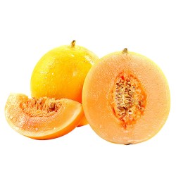 乐芮 民勤蜜瓜黄河蜜沙漠黄金密瓜头茬甜瓜新鲜水果