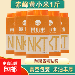 农开泰 赤峰黄小米 大金苗 小米粥小黄米粮食香糯粘稠油小米月子米 黄小米500g*1袋