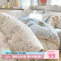 AIDLI 加密100%纯棉印花新疆棉全棉四件套 200*230cm