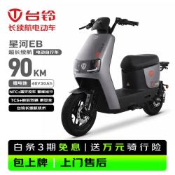 台铃 电动自行车星河EB2026新新国标可上牌电动车48V30Ah锂电池90KM长续航通勤