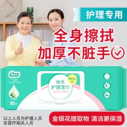 爱恩倍 消毒湿巾 80片*1包