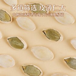 老街口 南瓜子 盐焗味 500g