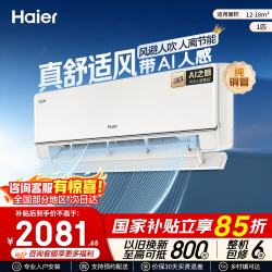 海尔 空调 舒适风Pro 大1匹 新一级能效 变频冷暖 AI省电
