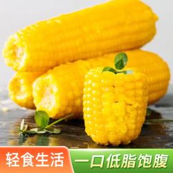 佟创 东 整棒黄糯玉米10棒 单棒150-180g