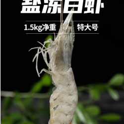 国联 生带头虾 特大号 1.8kg