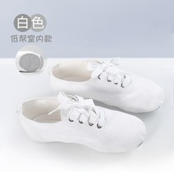 艾舞戈 女款爵士舞鞋 爵士舞鞋