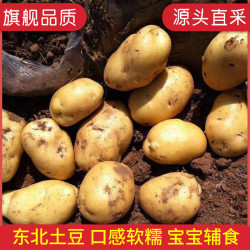 牛爱鲜 土豆东北土豆洋芋马铃薯  净重9斤