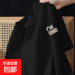 无品牌 冰丝短袖男速干T恤